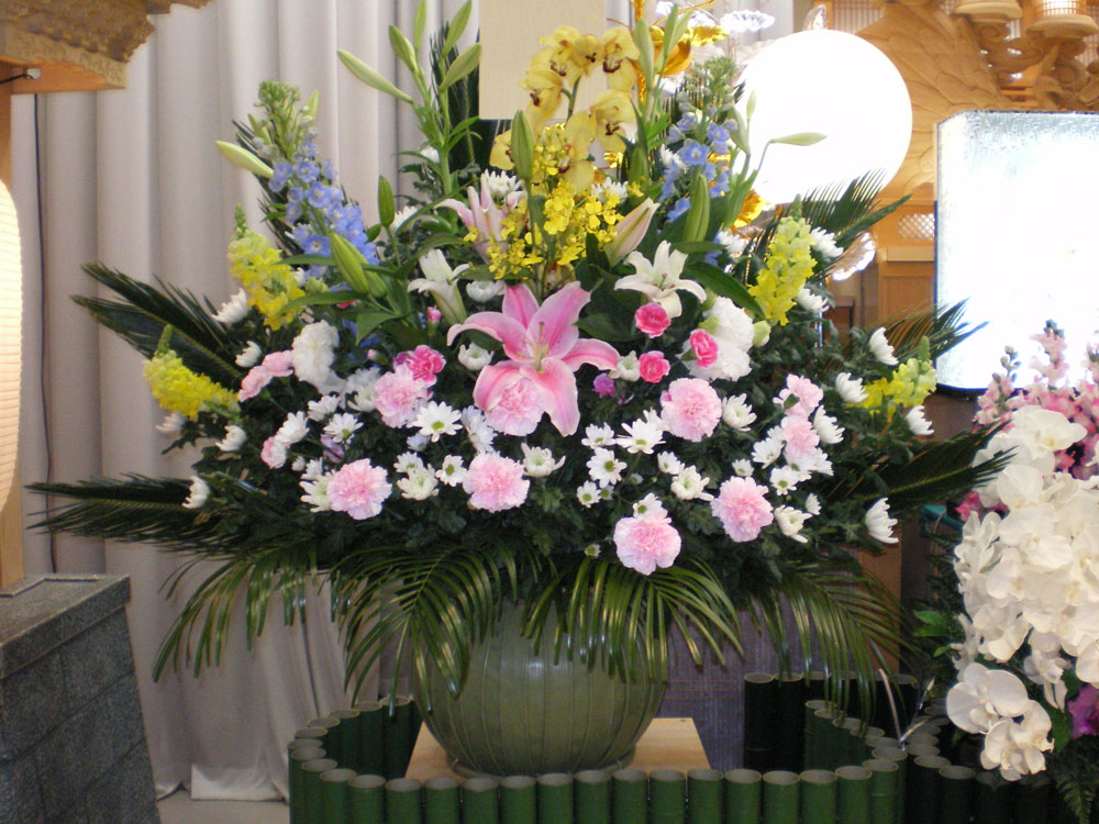 ダルマ 15,000円（税別）〜